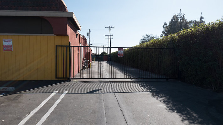 Lemon Twist Lounge -120