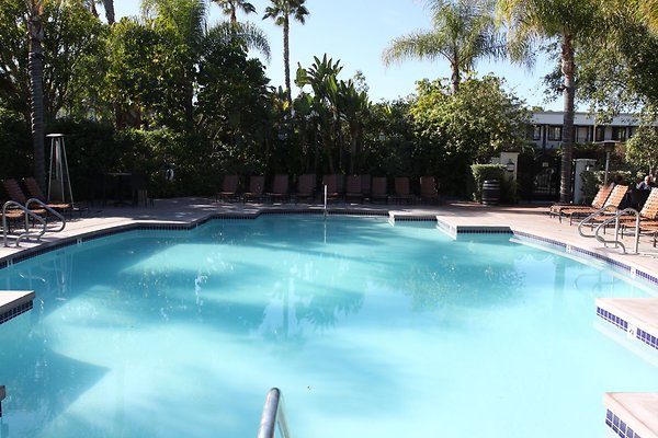 Anabella-Tangerine 65