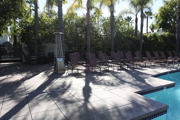 Anabella-Tangerine 64