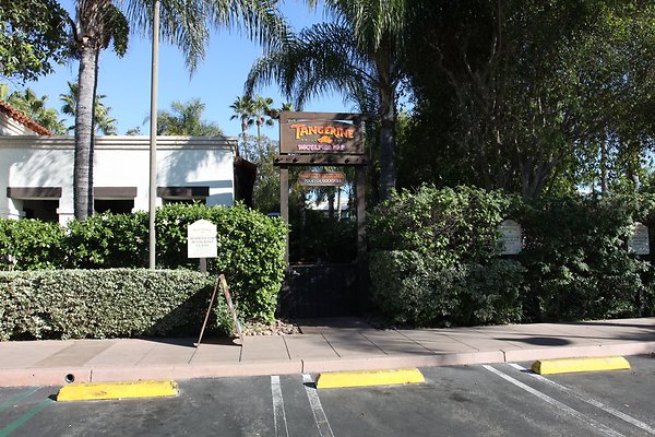 Anabella-Tangerine 47