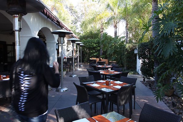 Anabella-Tangerine 29