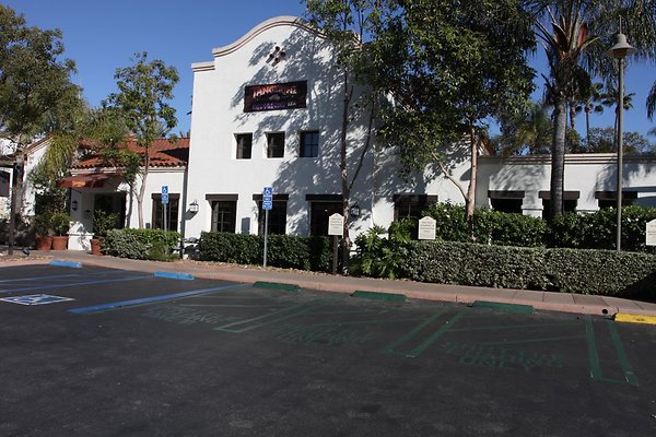 Anabella-Tangerine 50