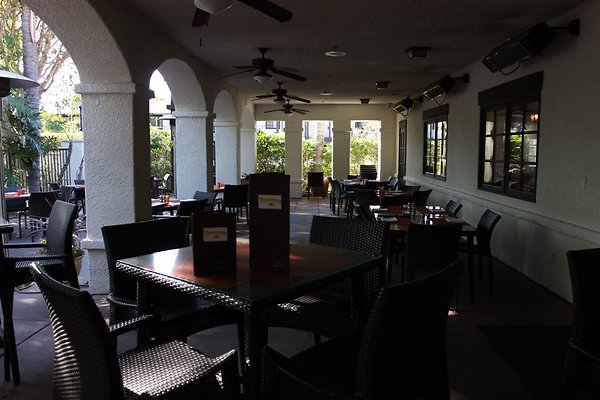 Anabella-Tangerine 31