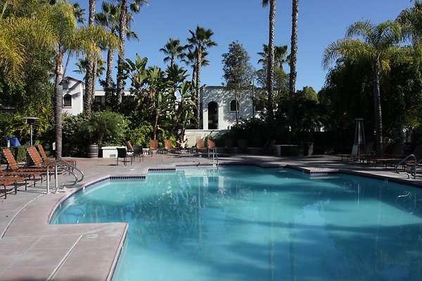 Anabella-Tangerine 58