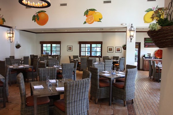 Anabella-Tangerine 24