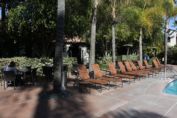 Anabella-Tangerine 59