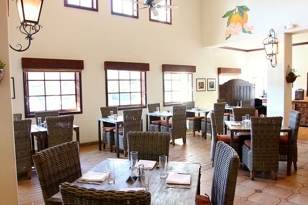 Anabella-Tangerine 12