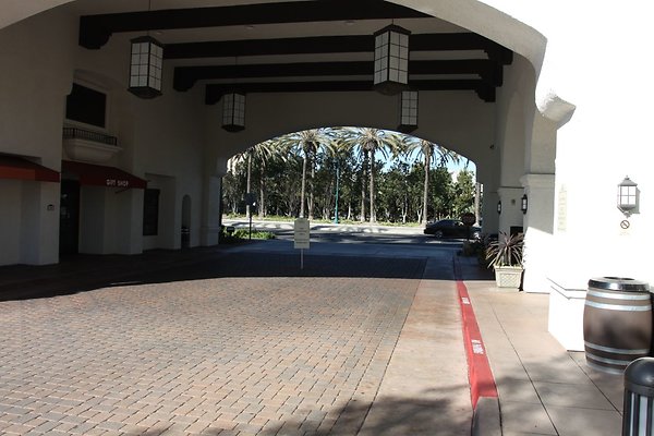 Anabella-Tangerine 45