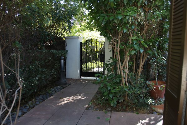 Anabella-Tangerine 56