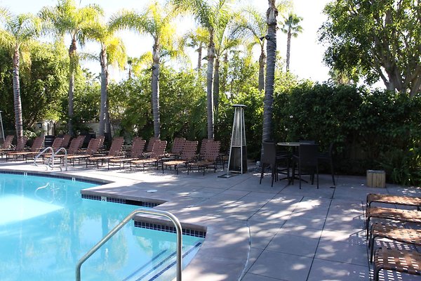 Anabella-Tangerine 61