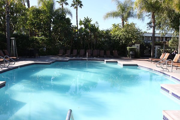 Anabella-Tangerine 63