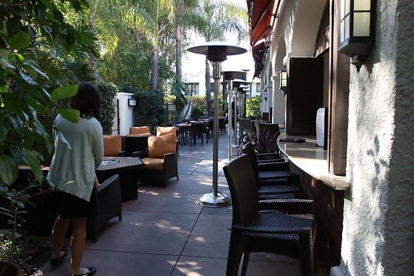 Anabella-Tangerine 35