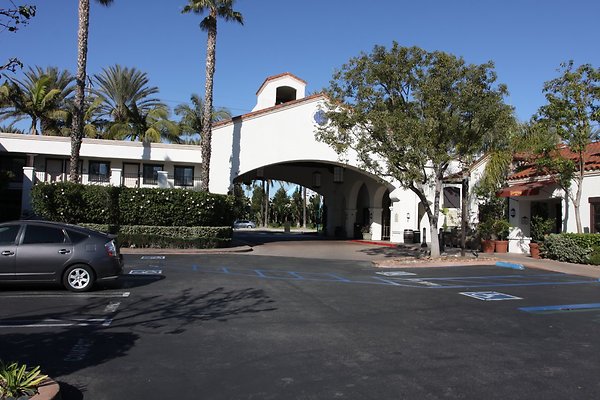 Anabella-Tangerine 49