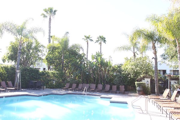 Anabella-Tangerine 67