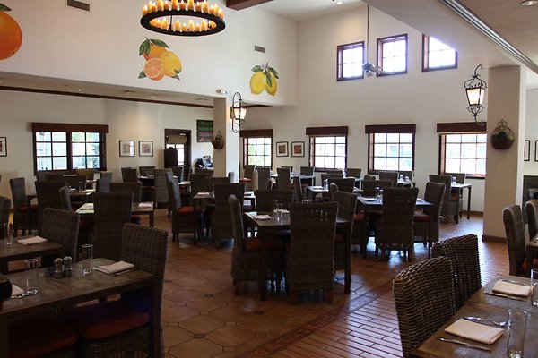 Anabella-Tangerine 20