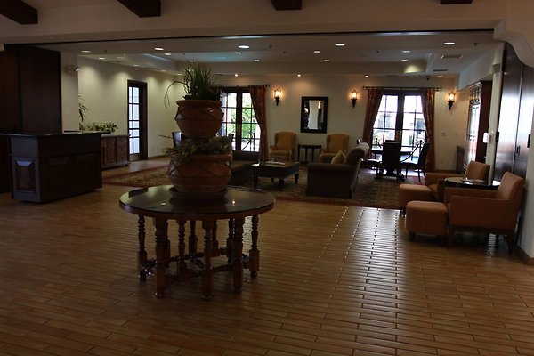 Anabella-Tangerine 41