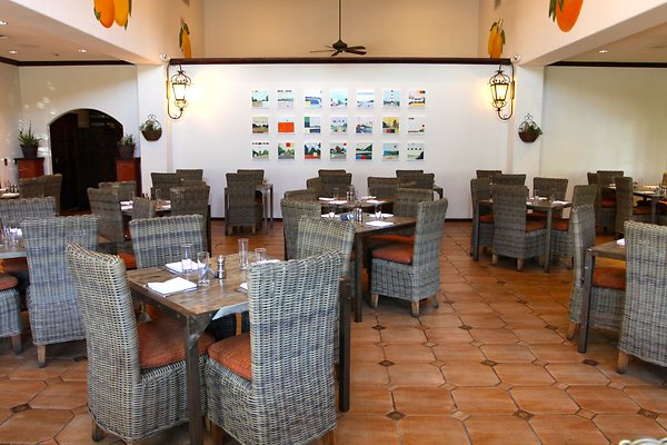 Anabella-Tangerine 05