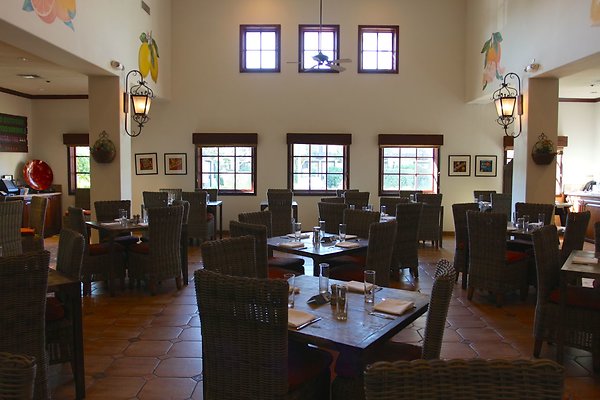 Anabella-Tangerine 17