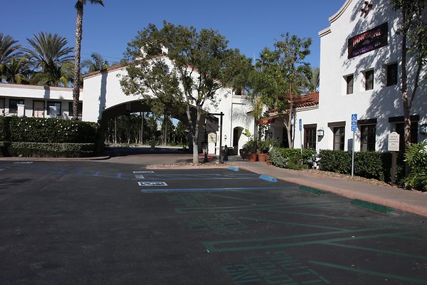 Anabella-Tangerine 48