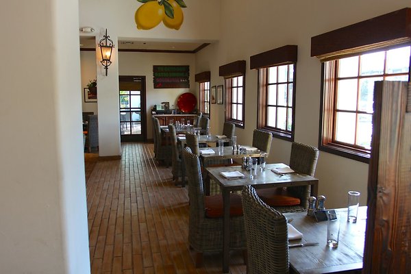 Anabella-Tangerine 25