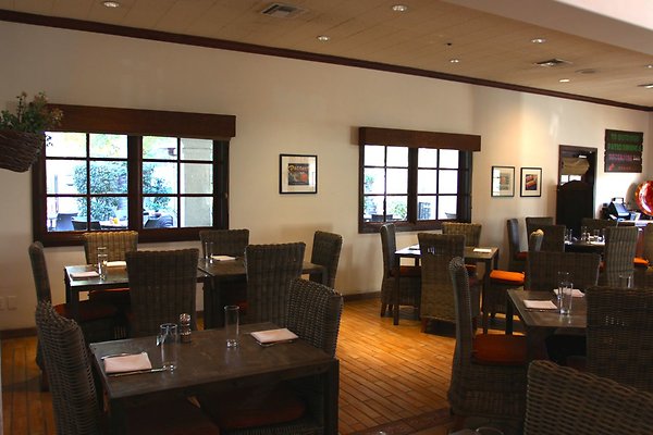 Anabella-Tangerine 16