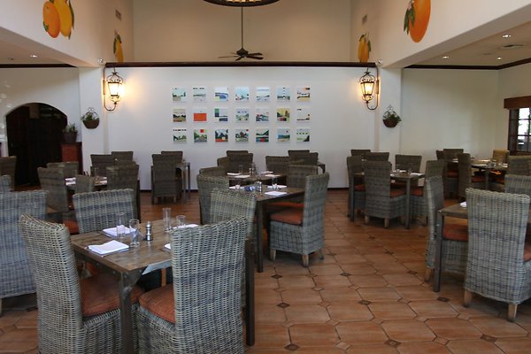 Anabella-Tangerine 08