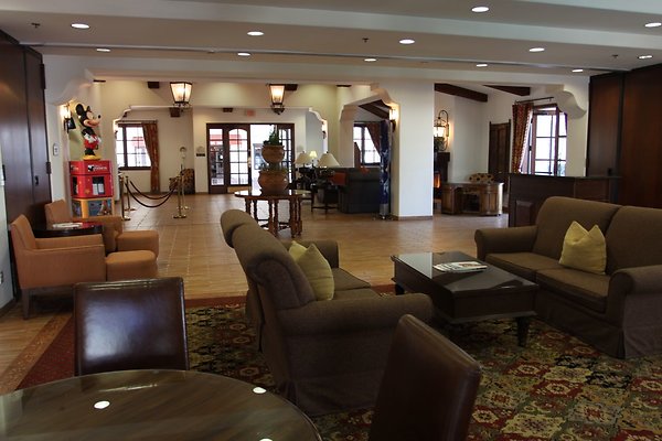 Anabella-Tangerine 42