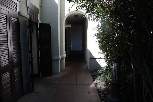 Anabella-Tangerine 57