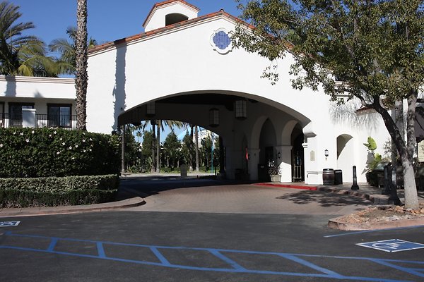 Anabella-Tangerine 53