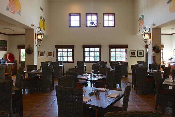 Anabella-Tangerine 15