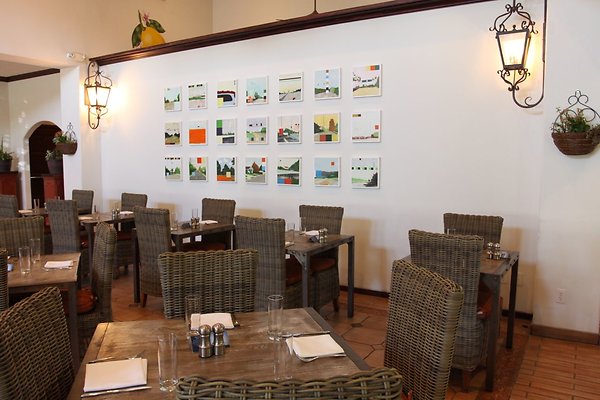 Anabella-Tangerine 14