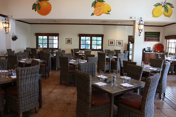 Anabella-Tangerine 22