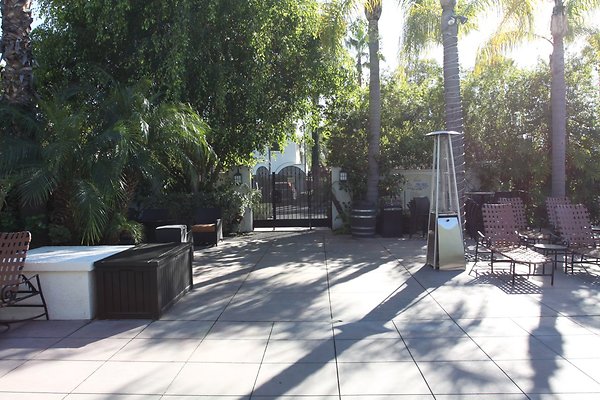 Anabella-Tangerine 62