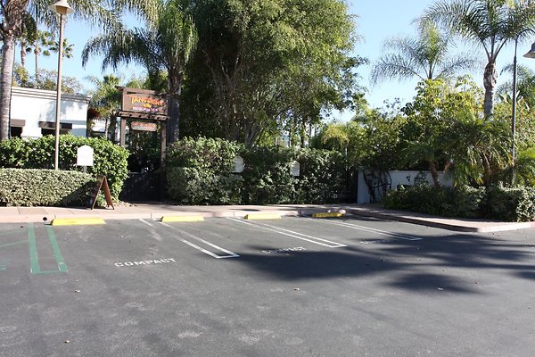 Anabella-Tangerine 51