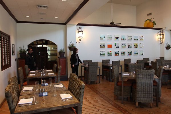 Anabella-Tangerine 23