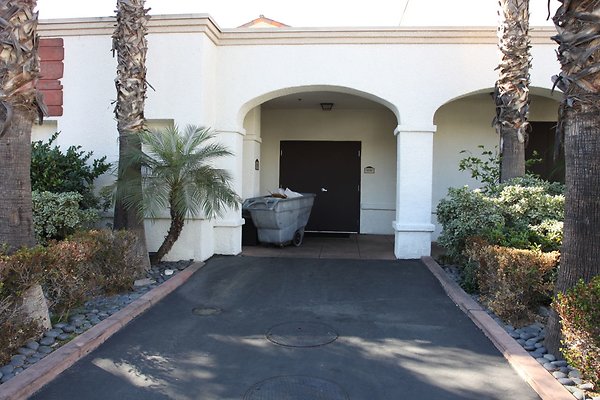 Anabella-Tangerine 54