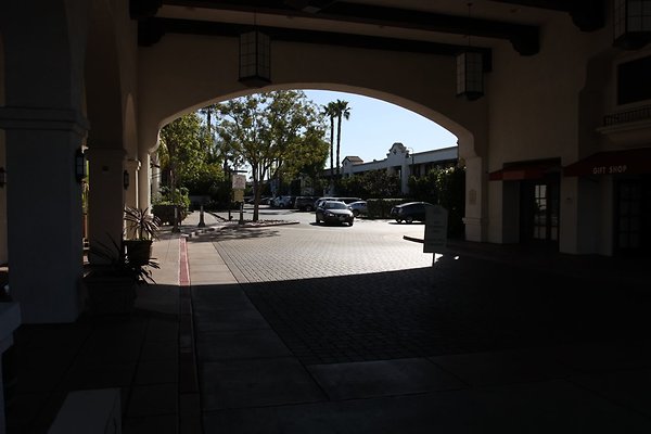 Anabella-Tangerine 44