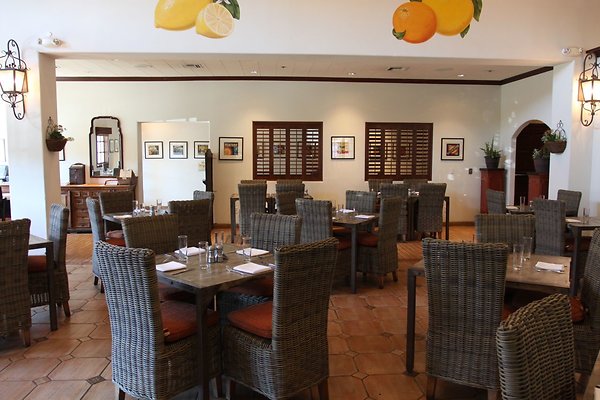 Anabella-Tangerine 13