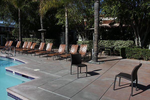 Anabella-Tangerine 66