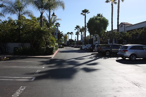 Anabella-Tangerine 46