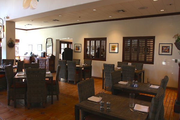 Anabella-Tangerine 18