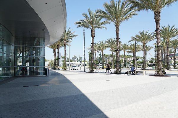 RW204 087 DSC08356 20160728 105736 