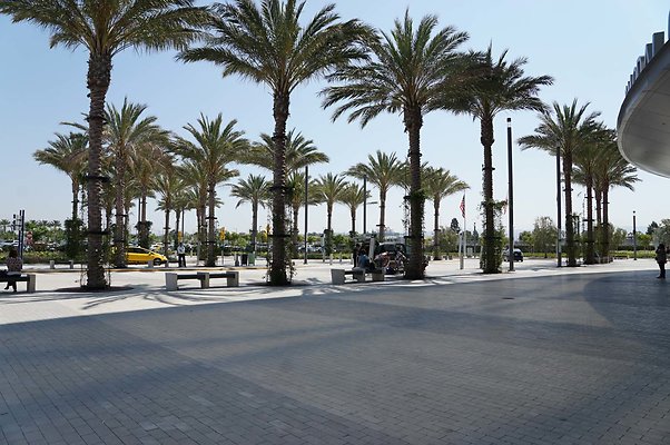 RW204 085 DSC08354 20160728 105632 