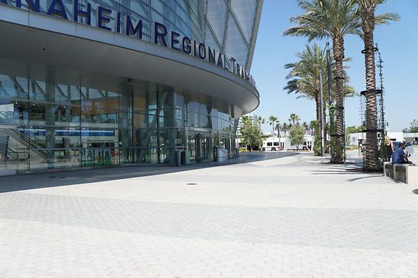 RW204 088 DSC08357 20160728 105750 