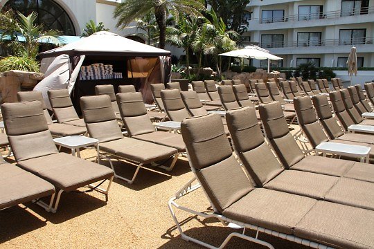 IMG 6532 63d27920-f0ae-5102-09729f3d53653174