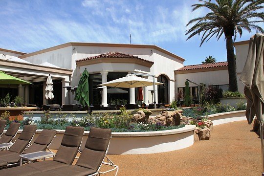 IMG 6533 63d23818-f0ae-5102-0972de44541770ba